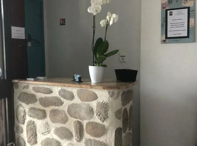 Le Pescadou 酒店 滨海阿热莱斯