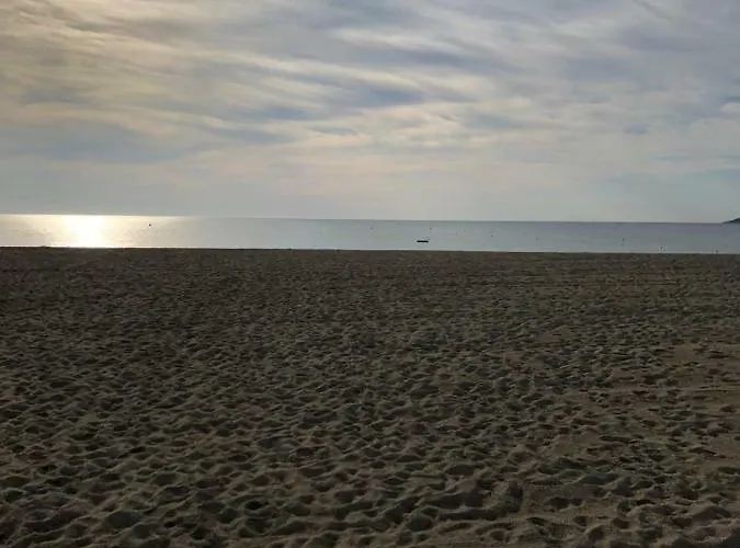 酒店 Le Pescadou 滨海阿热莱斯